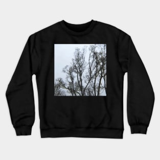 Winter Chills Crewneck Sweatshirt